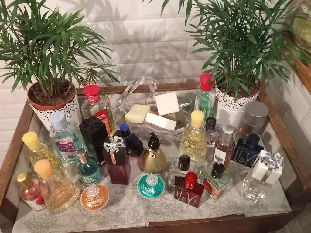 Telma Þrastardóttir_Hôtel Restaurant Les Cygnes_Évian-les-Bains_review