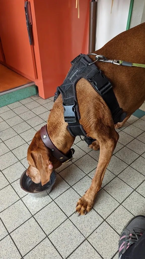 Bar du Marché_Ceaucé_slider_image_3