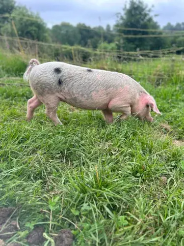 La Petite Chauvière_Champsecret_slider_image_3