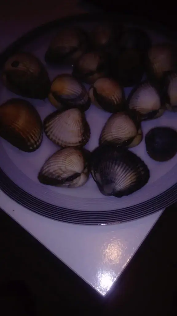 Menu_Relais de la Forêt_Dompierre_image_7