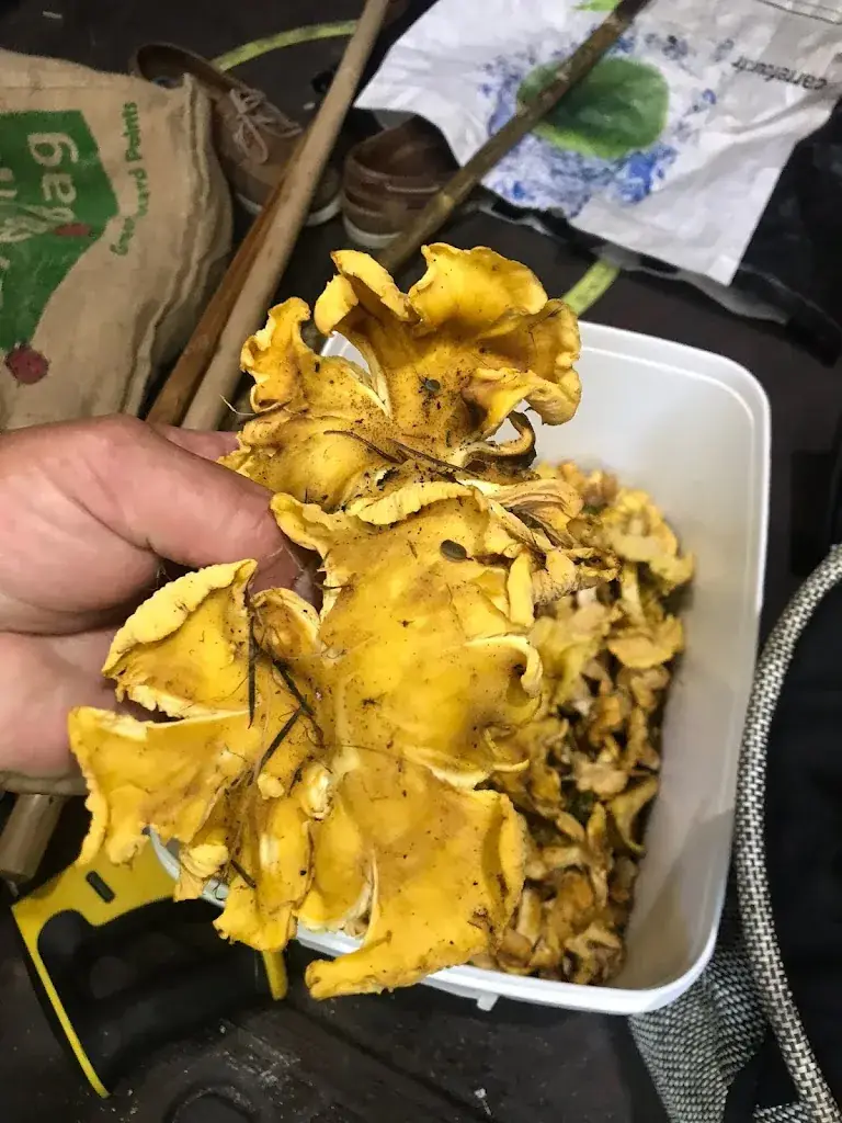 Relais de la Forêt_Dompierre_slider_image_3