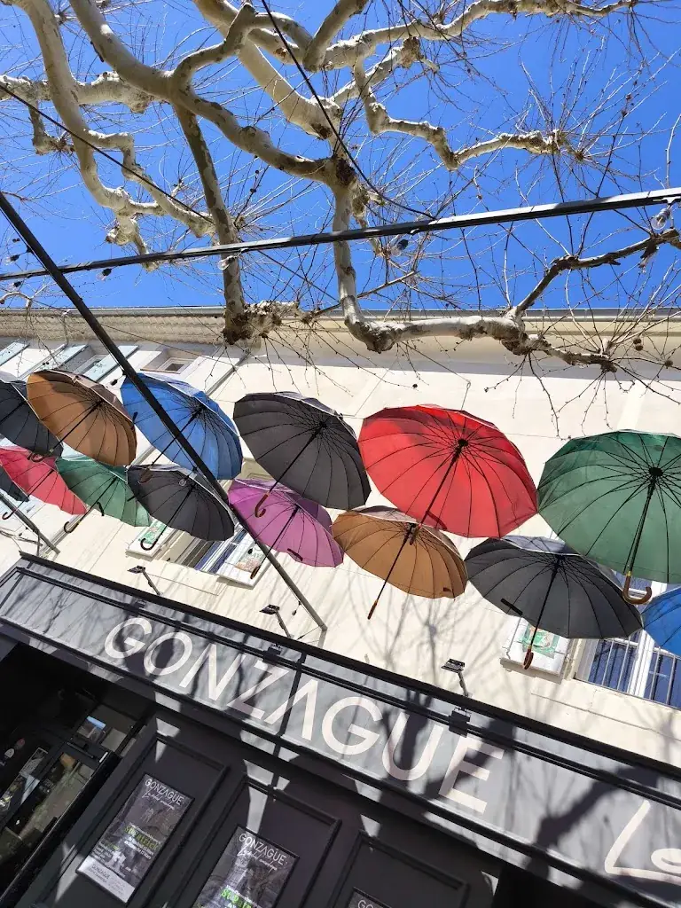 Aspiration Web_Bistrot Gonzague_Charleval_review