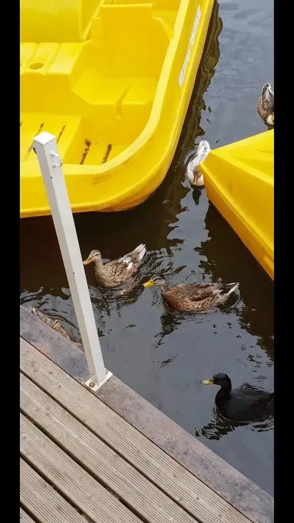 AU FIL DE L'EAU - Restaurant à Clécy_Clécy_slider_image_2