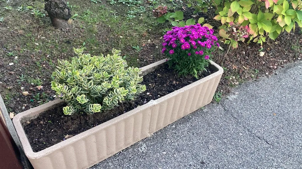 Shumaila Omer_Contact Hotel Le Seino Marin Cleon_Cléon_review