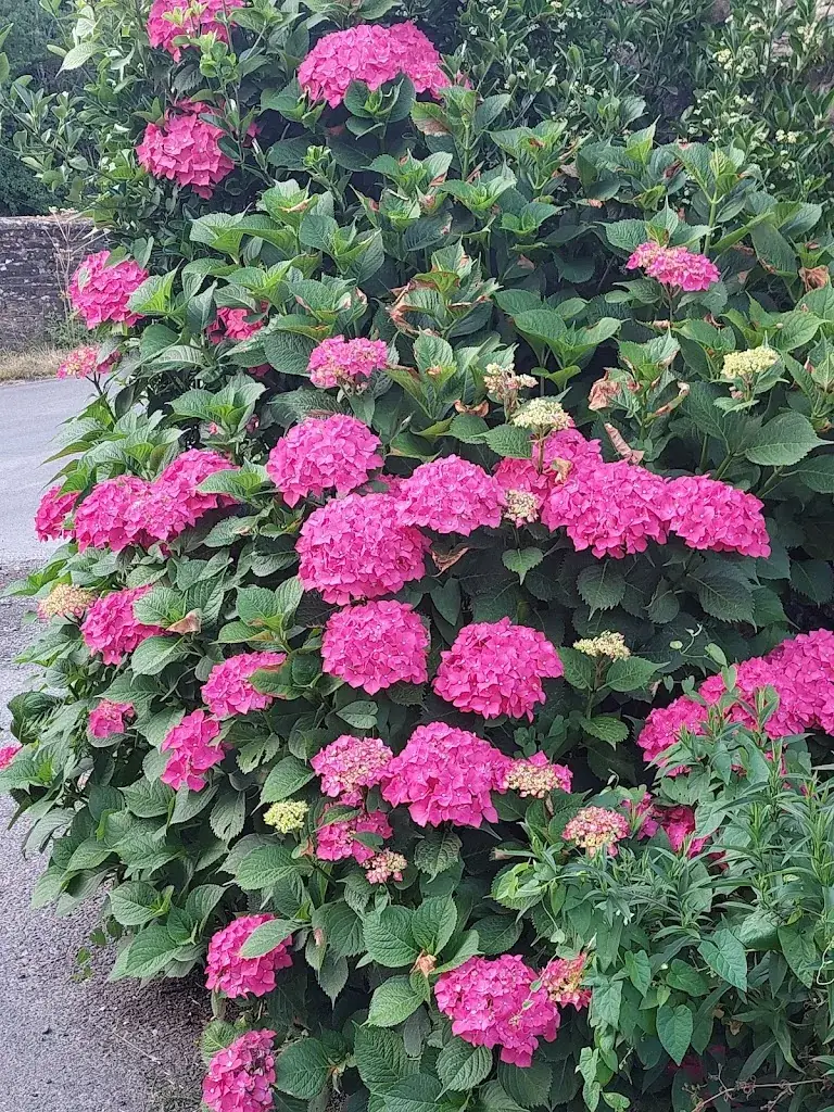 Massimo Turla_ferme la longre_Cerisy-la-Forêt_review