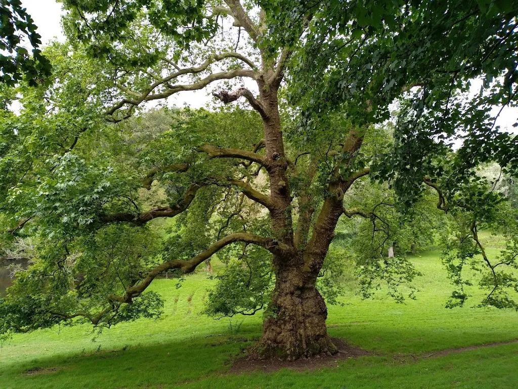 Jacky Petit_Château de Cerisy-La-Salle_Cerisy-la-Salle_recensione