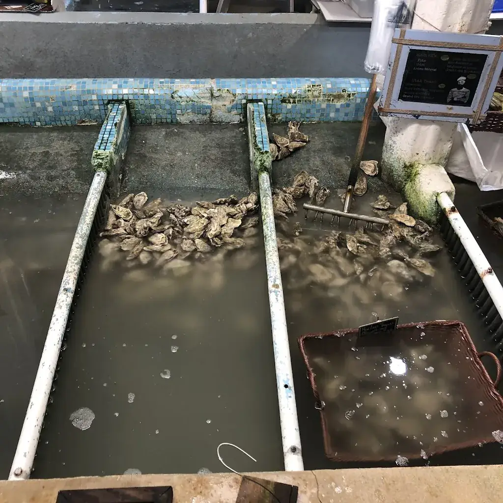 Alistair Fraser_Au Vivier_Colleville-Montgomery_recensione