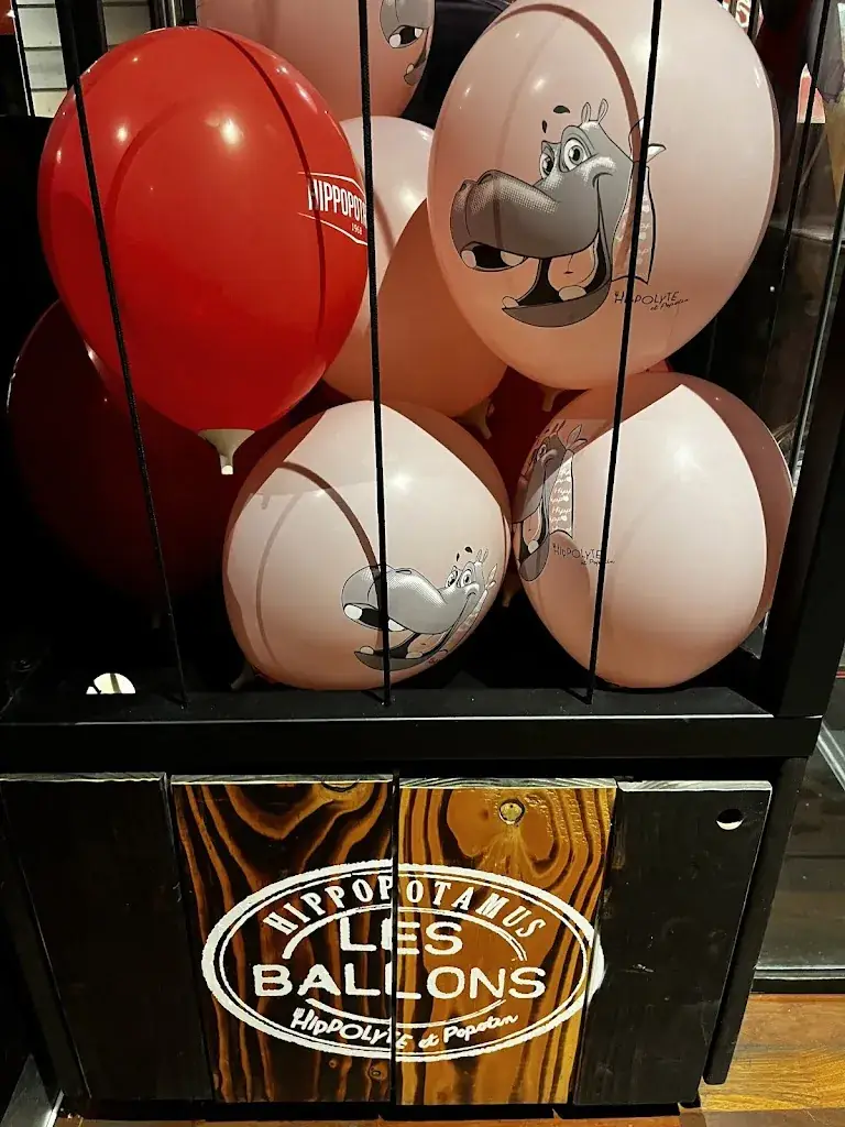 Maheshwaran Jothi_Hippopotamus_Gières_review