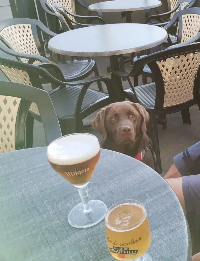 Menu_Brasserie du Marché_Courseulles-sur-Mer_image_5