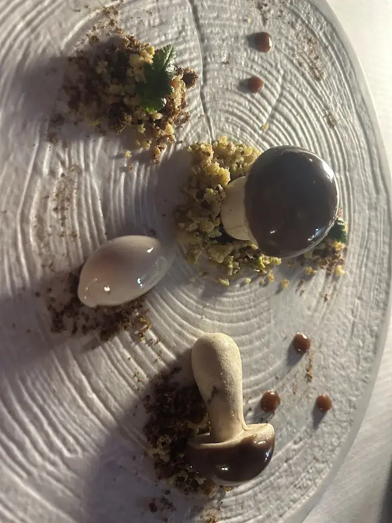 Myassa O._Le Restaurant Manoir du Lys_d'Andaine_review