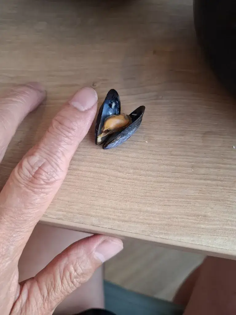 Goldfosh 88_Le Resto de la Plage_Criel-sur-Mer_review