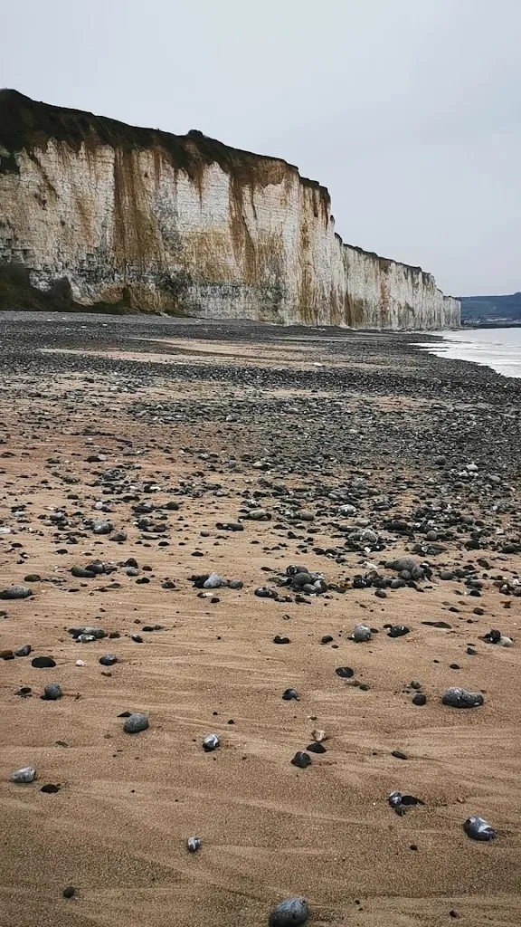 Logis Hôtel, Restaurant & Spa de la Vieille Ferme restaurant in Criel-sur-Mer