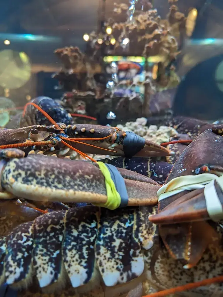 Menu_Augusto Chez Laurent_Deauville_image_6