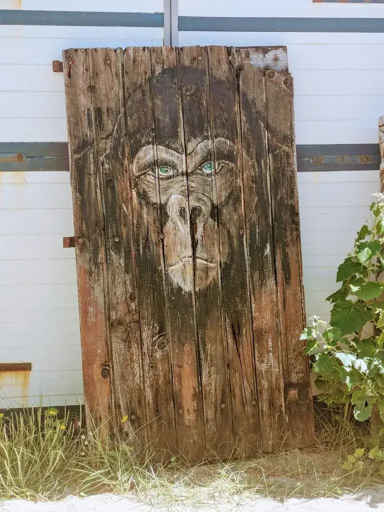 Daniel Sfez_Le Bistrot de la plage_Donville-les-Bains_review