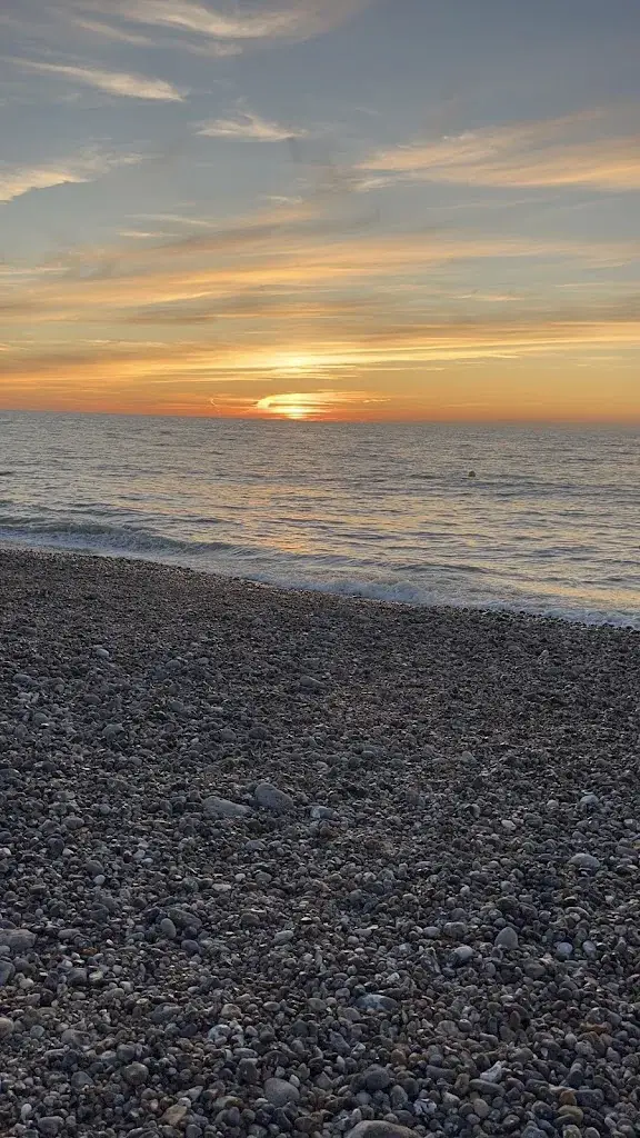 Tanmoy Sen_Deep Sparrow_Dieppe_review