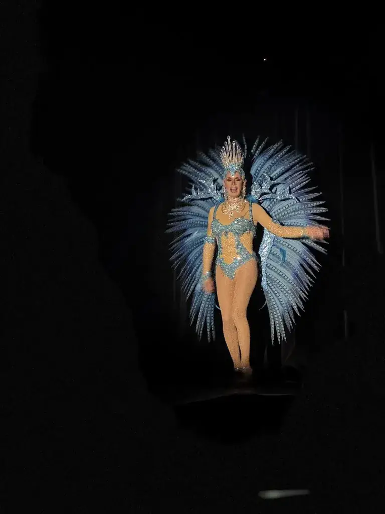 Sandrine Maraine_Cabaret Le Puits Enchante_Doudeville_review