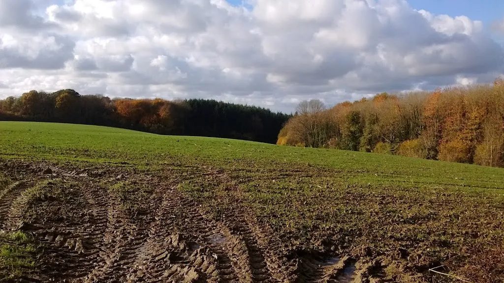 Café de la Place_Dozulé_slider_image_3