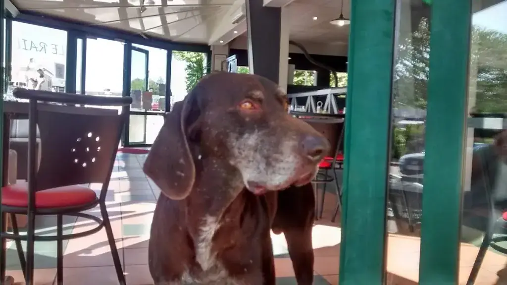 Nigel Beale_Brasserie Le Rail_Argentan_review