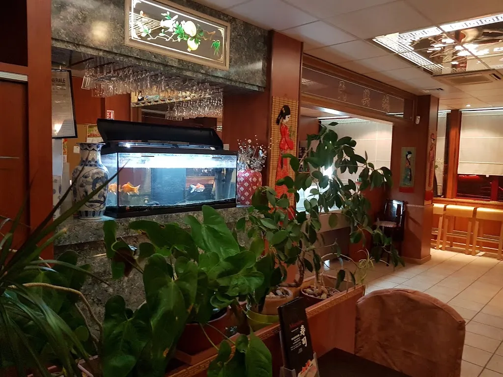 Matthias Fuchs_Mizuki_Gaillard_review