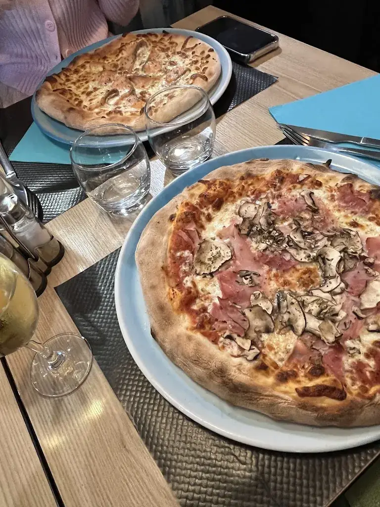 Zlata Dog cat_Le Romain d'Etretat_Étretat_recensione