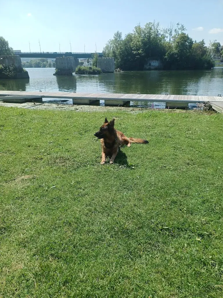 Frederique Llorca_L'Escale_Étrépagny_avis
