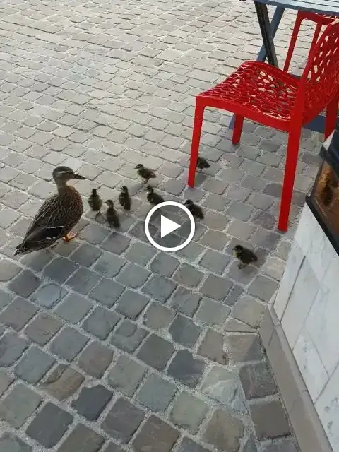 Delices D'etrepagny_Étrépagny_slider_image_2