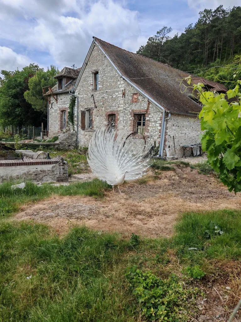 Estelle FILIPPINI_Crêperie de la Côte Blanche_Ézy-sur-Eure_review