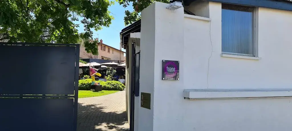 Johnny Gayler _Toane Restaurant_Grézieu-la-Varenne_review