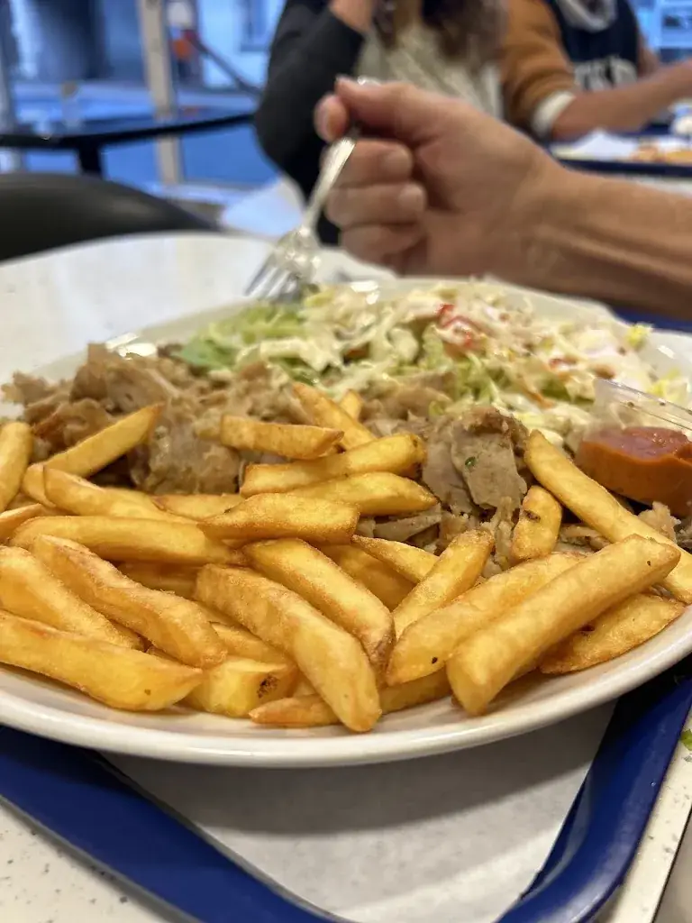 Menu_Kebab Fleury royal_Fleury-sur-Andelle_image_5