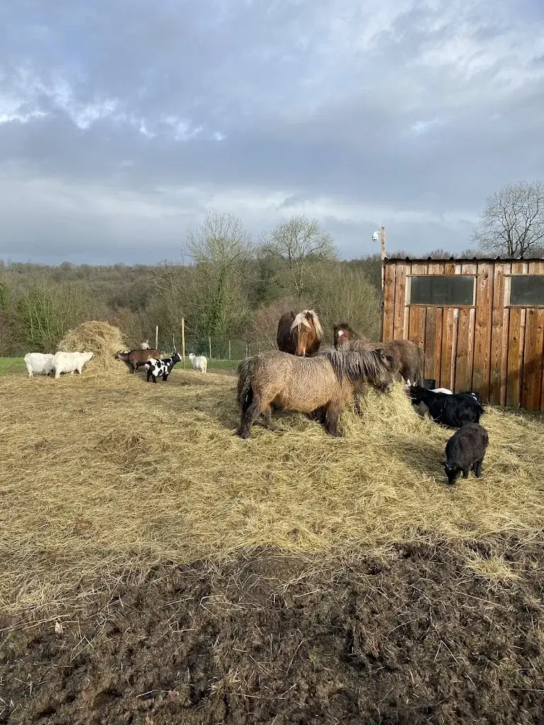 Maeva Lehodey_Le foodtruck Chez Monsieur Ingalls_50450_review