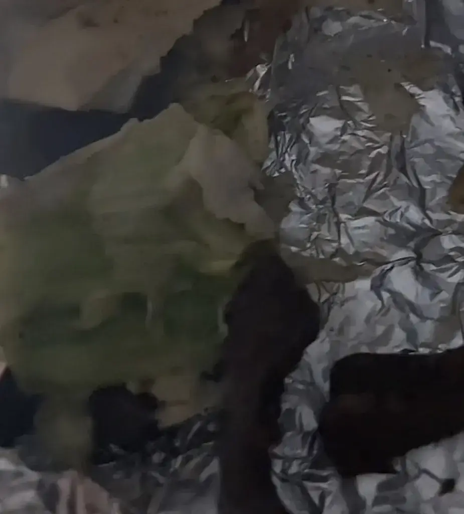 S B_Layaly Al Sham Restaurant Syrien-Libanais_Givors_review