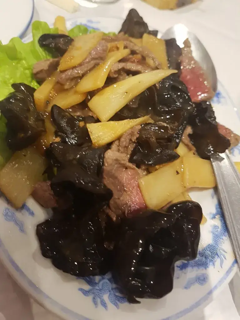 Blein Bruno_Le Lotus de Chine_Givors_review