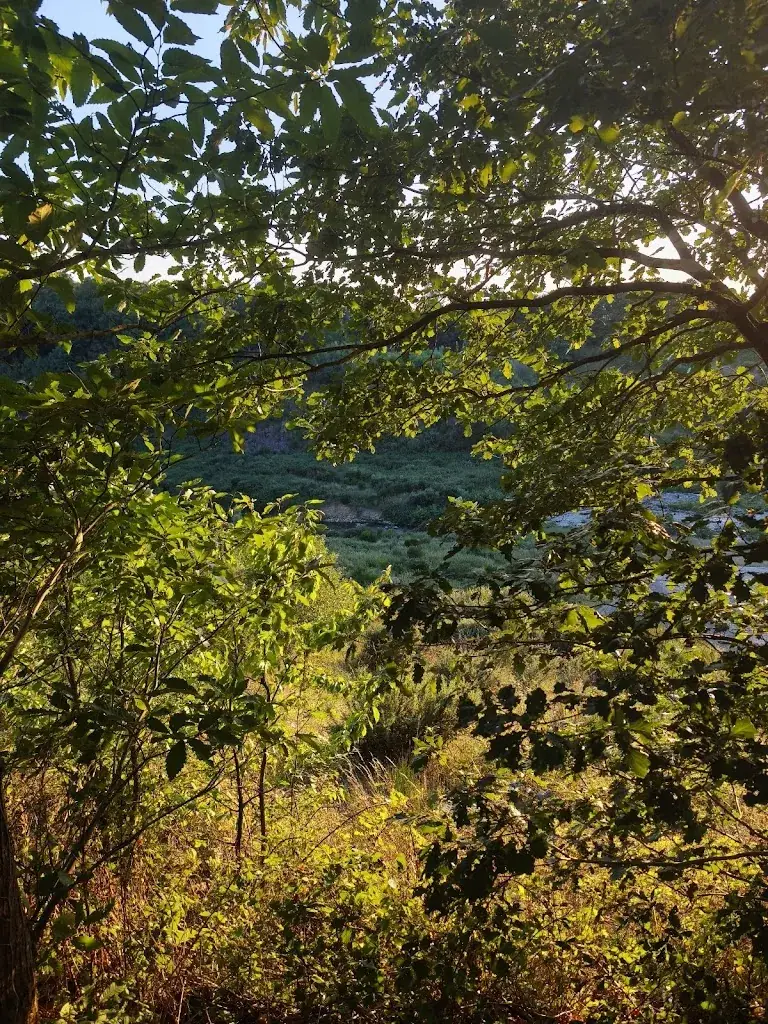 Duncan Idaho_Guinguette du Petit Bois_Isigny-le-Buat_review