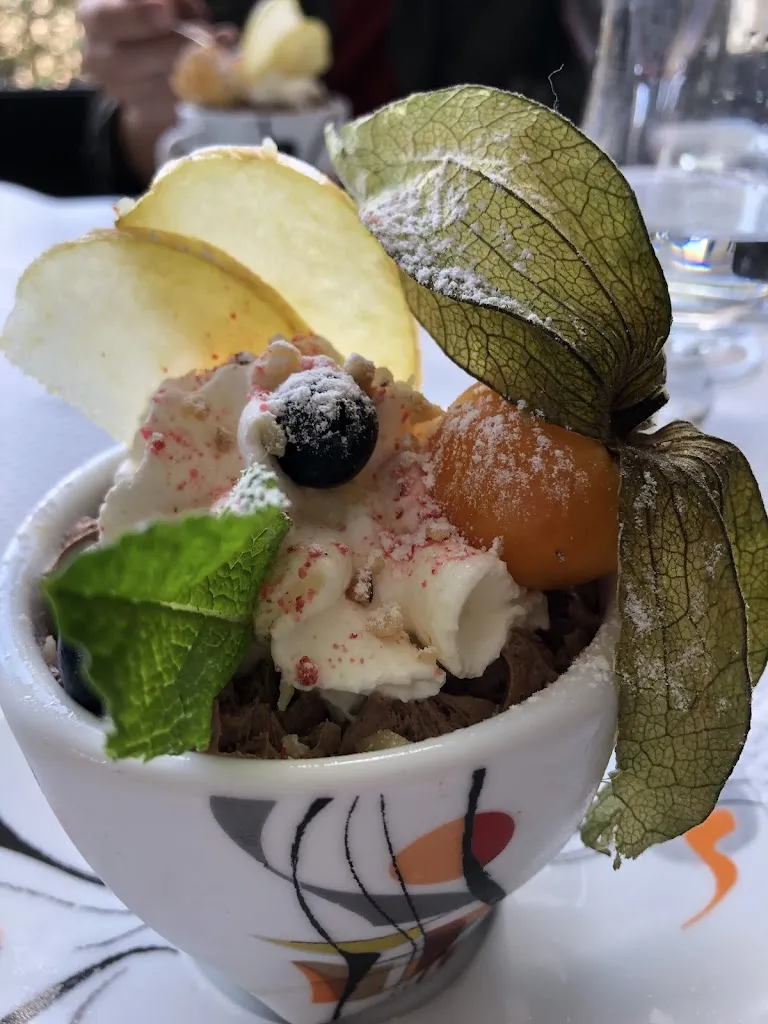 Dominique Hwang_Logis Hôtel Restaurant Le Val d'Amby_Hières-sur-Amby_review