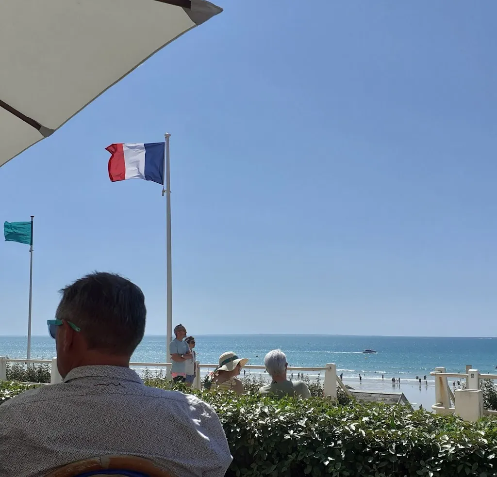 Northern Gannet Project_La Promenade_Jullouville_review