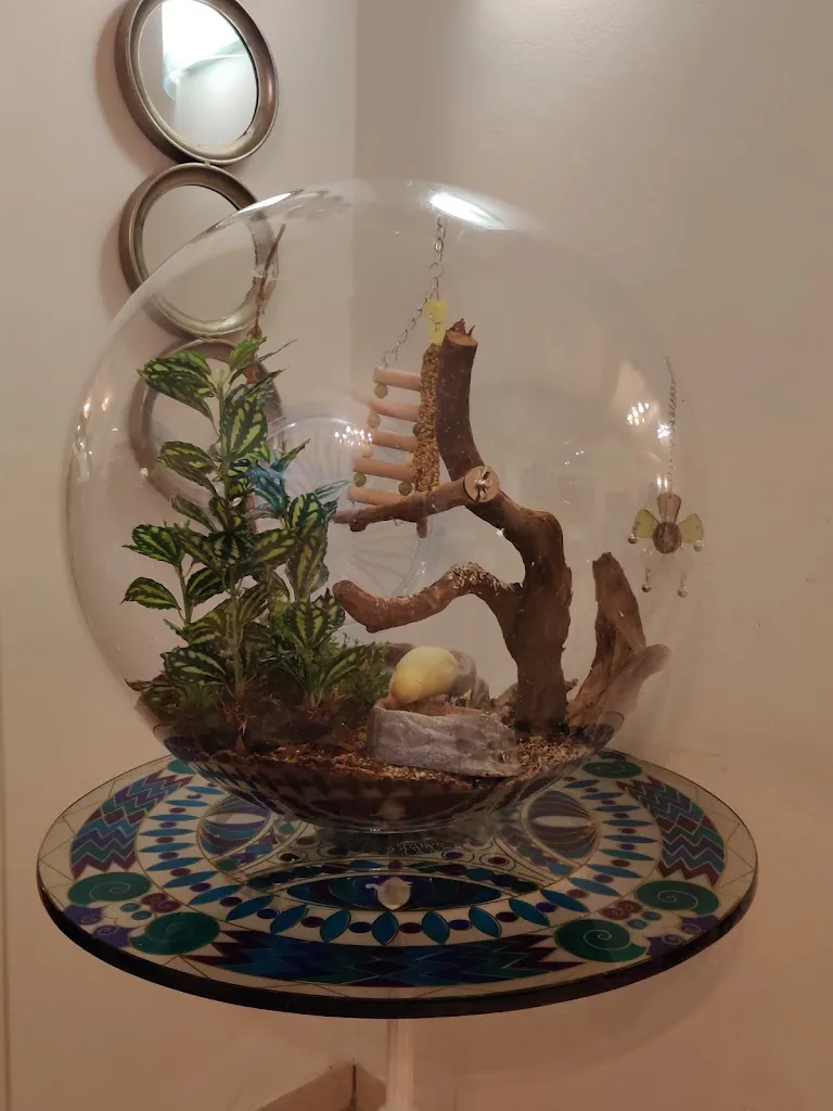 Lesley Houben_Moulin d'Ivry 