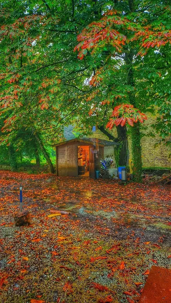 Claudia Muscu_La Pierre a Feu_Cherbourg-en-Cotentin_review