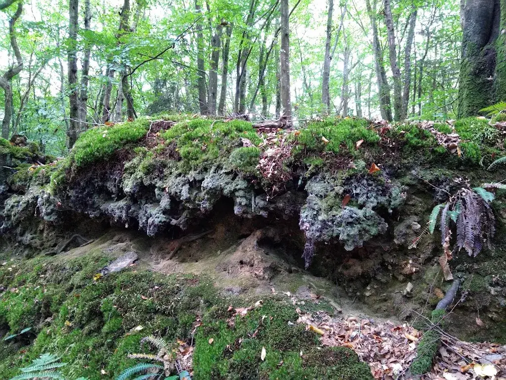 Chateau des Roches_Glacerie_slider_image_3