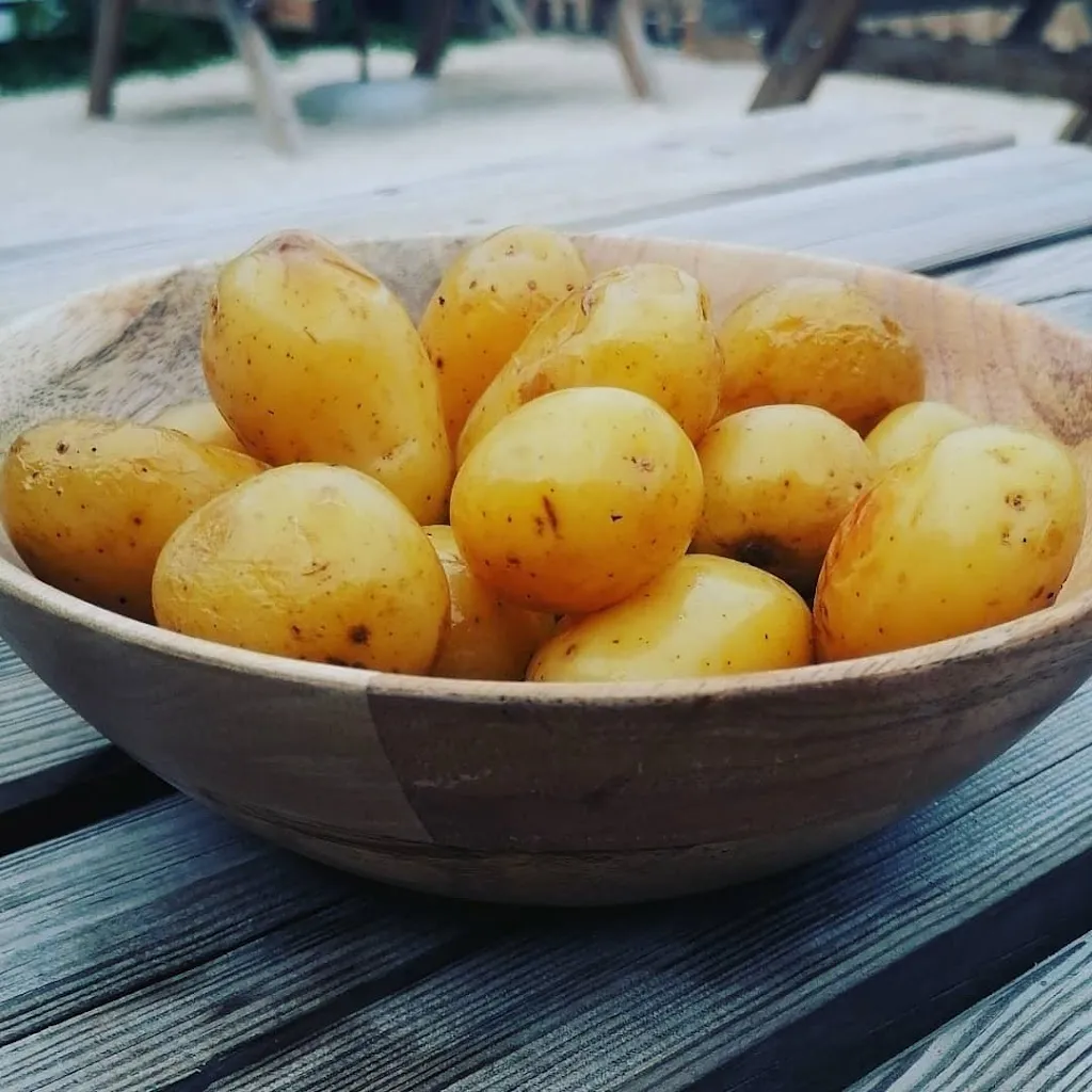 Menu_O'POULAILLER_Grésy-sur-Aix_image_4