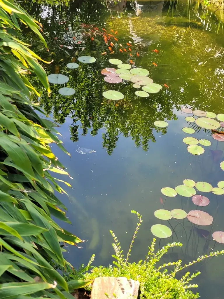 Lan_Le Chalet Du Coucou_Tresserve_review