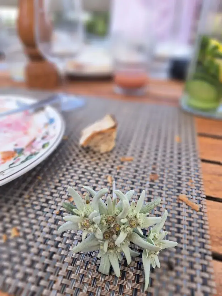 agathe laville_Manoïre_Montreux_review