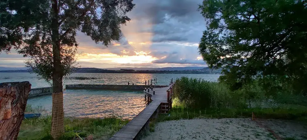 Mario Berta_La Pinte du Vieux Manoir_Meyriez_review