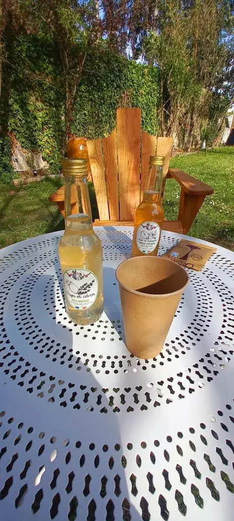 Menu_Le jardin merveilleux | Hauterives_Hauterives_image_5