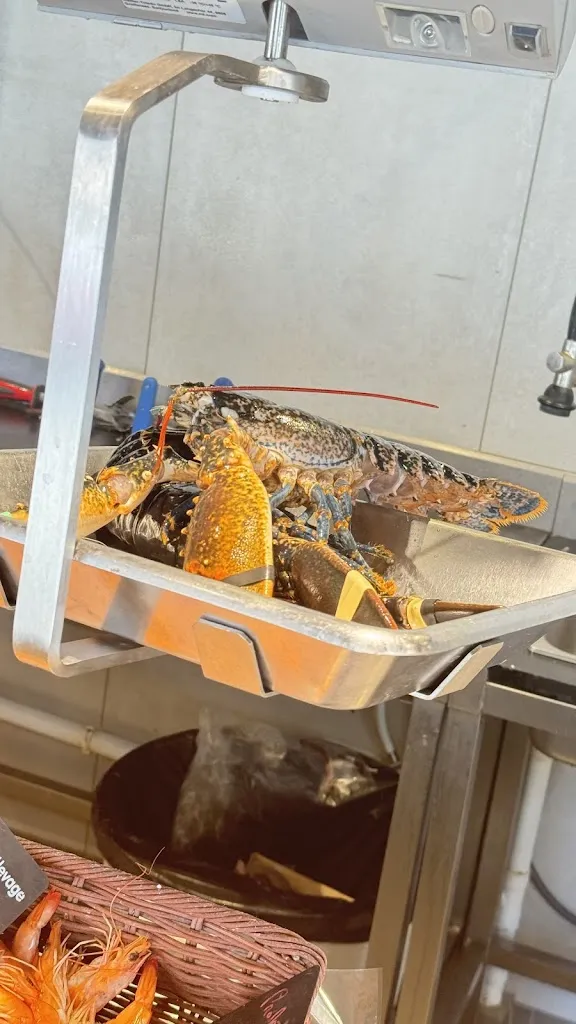 Bultez Marine_Poissonnerie Villard_Mesnil-Esnard_reseña