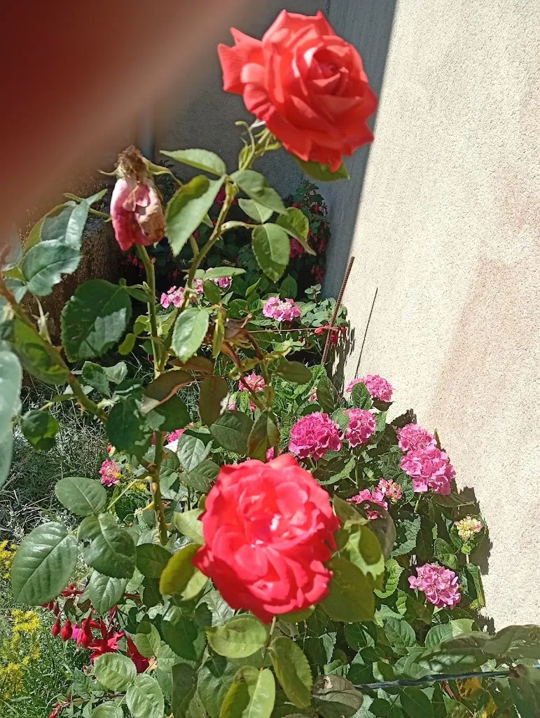 Pizza del sol_Teilleul_slider_image_1