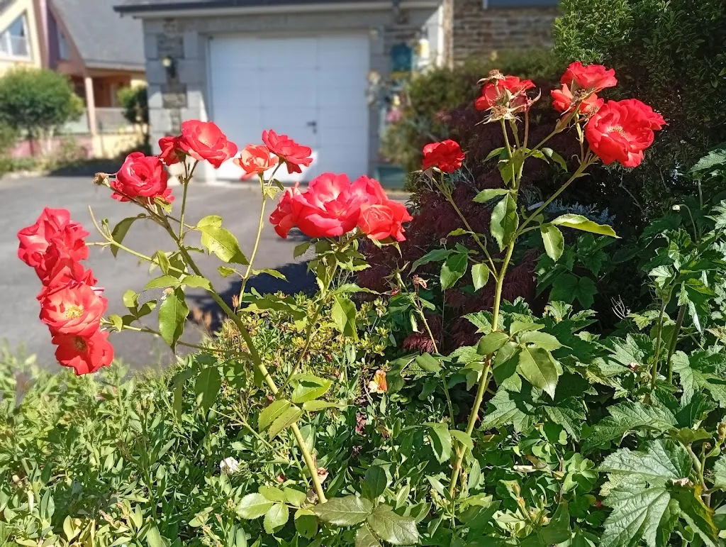 Pizza del sol_Teilleul_slider_image_2