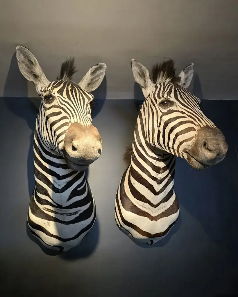 Les 2 Zèbres_Neubourg_slider_image_3