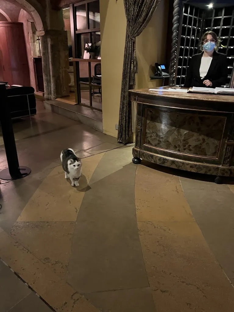 Michael Chu_Les Loges_Lyon_recensione