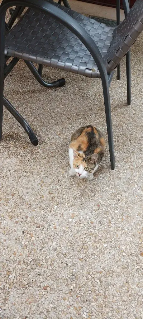 Linette Le démon_INANC RESTAURANT_Huriel_review