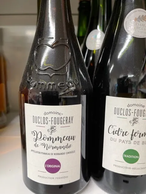 Menu_Au Village_Mesnières-en-Bray_image_5